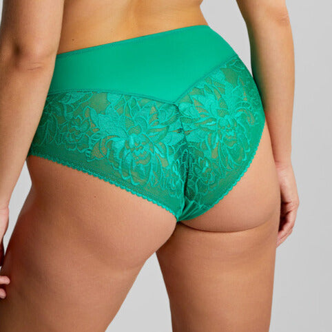 Sculptresse Dream Deep Brief - Various Colours