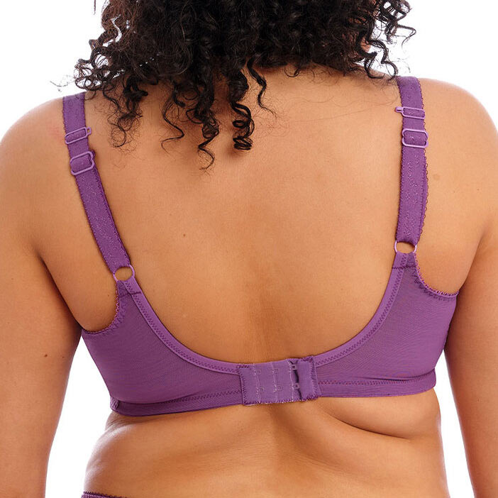 Elomi Charley UW Plunge Bra with Stretch - Pansy