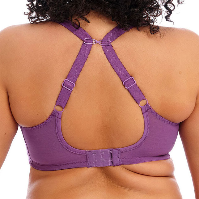 Elomi Charley UW Plunge Bra with Stretch - Pansy