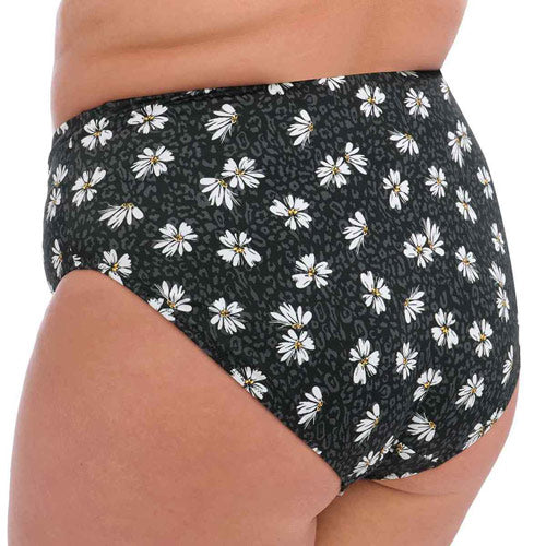 Elomi Swim - Plain Sailing Bikini Brief - Black Daisy