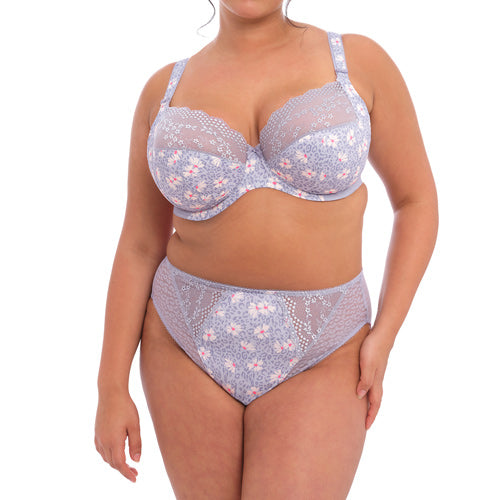 Elomi Lucie High Leg Brief - Aleutian