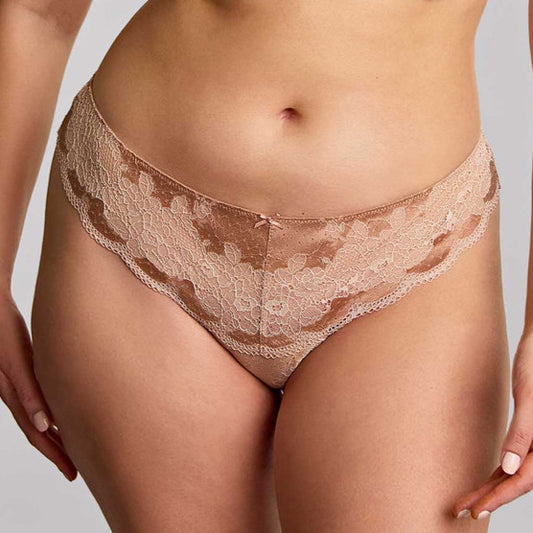 Panache Clara Thong - Core* & Seasonal Colours