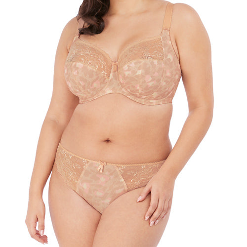 Elomi Morgan Brief - Toasted Almond