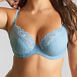 Panache Envy UW Plunge Bra - Core* & Seasonal Colours