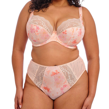 Elomi Lucie High Leg Brief - Various Colours