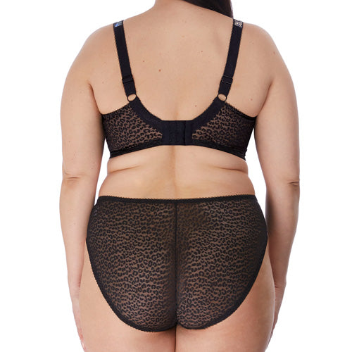 Elomi Lucie High Leg Brief - Meadow