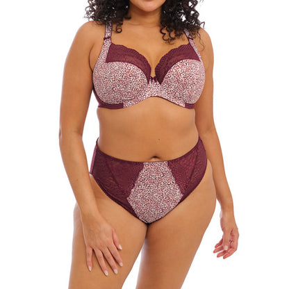 Elomi Lucie High Leg Brief - Wild Thing